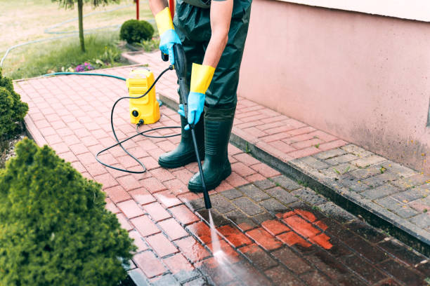 Best Roof Pressure Washing  in Streamwood, IL